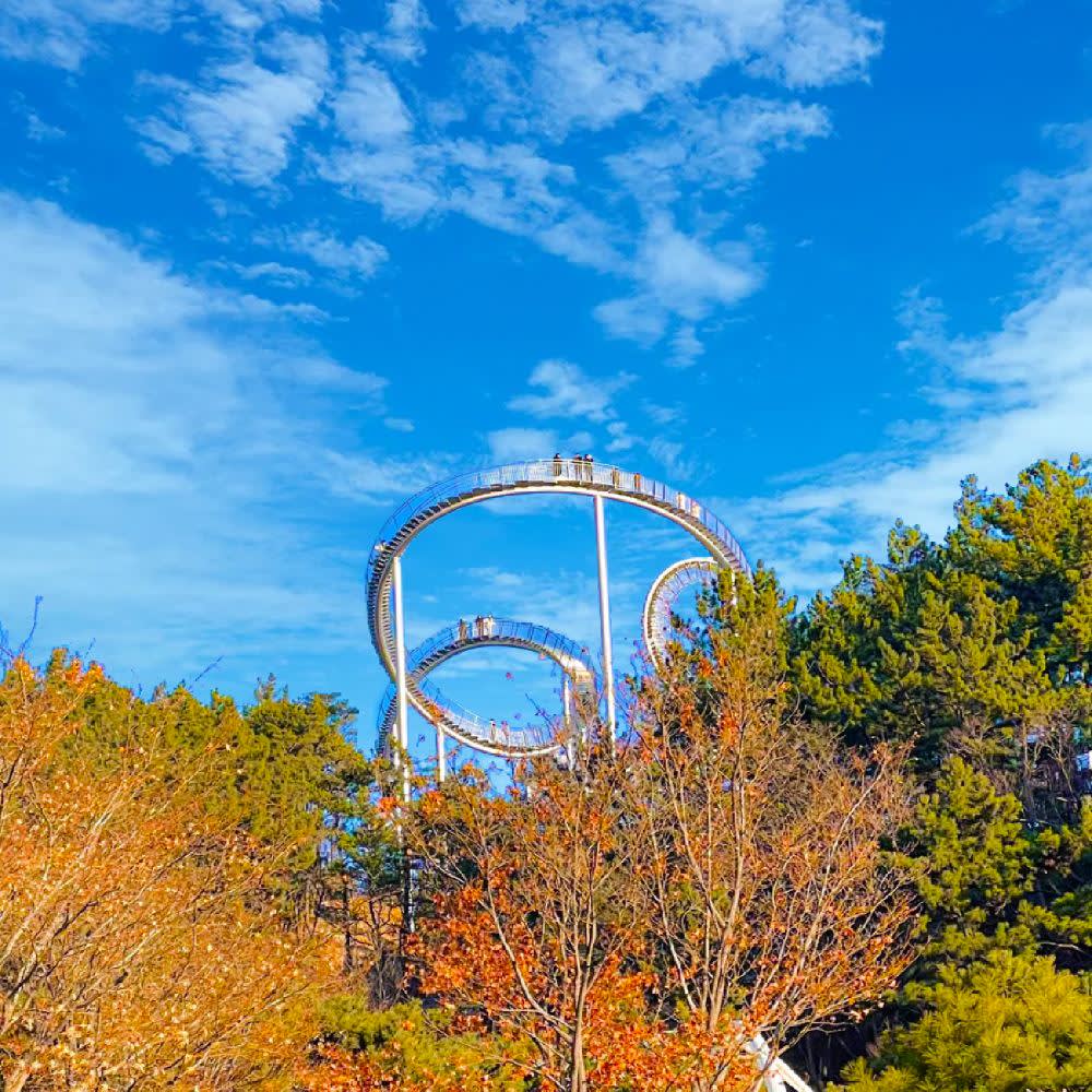 [Pohang] Space Walk X Lakeside Park Cherry Blossom Viewing | Departing from Busan