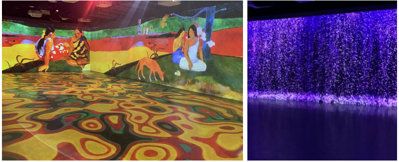 [Hongdae] BAKERY CAFÉ & GALLERY COCONUT BOX