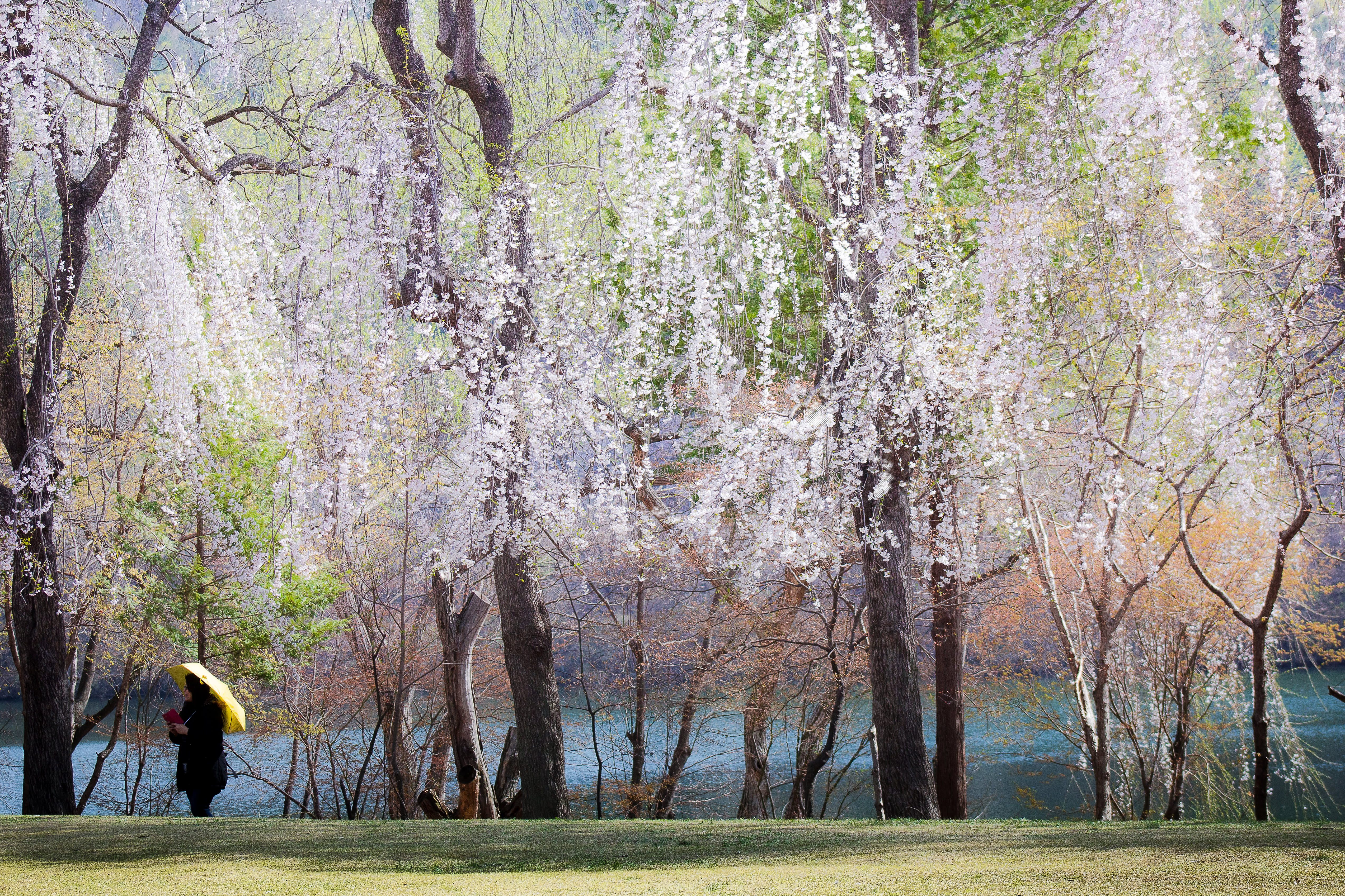 ソウルシティ·郊外カーチャートツアー