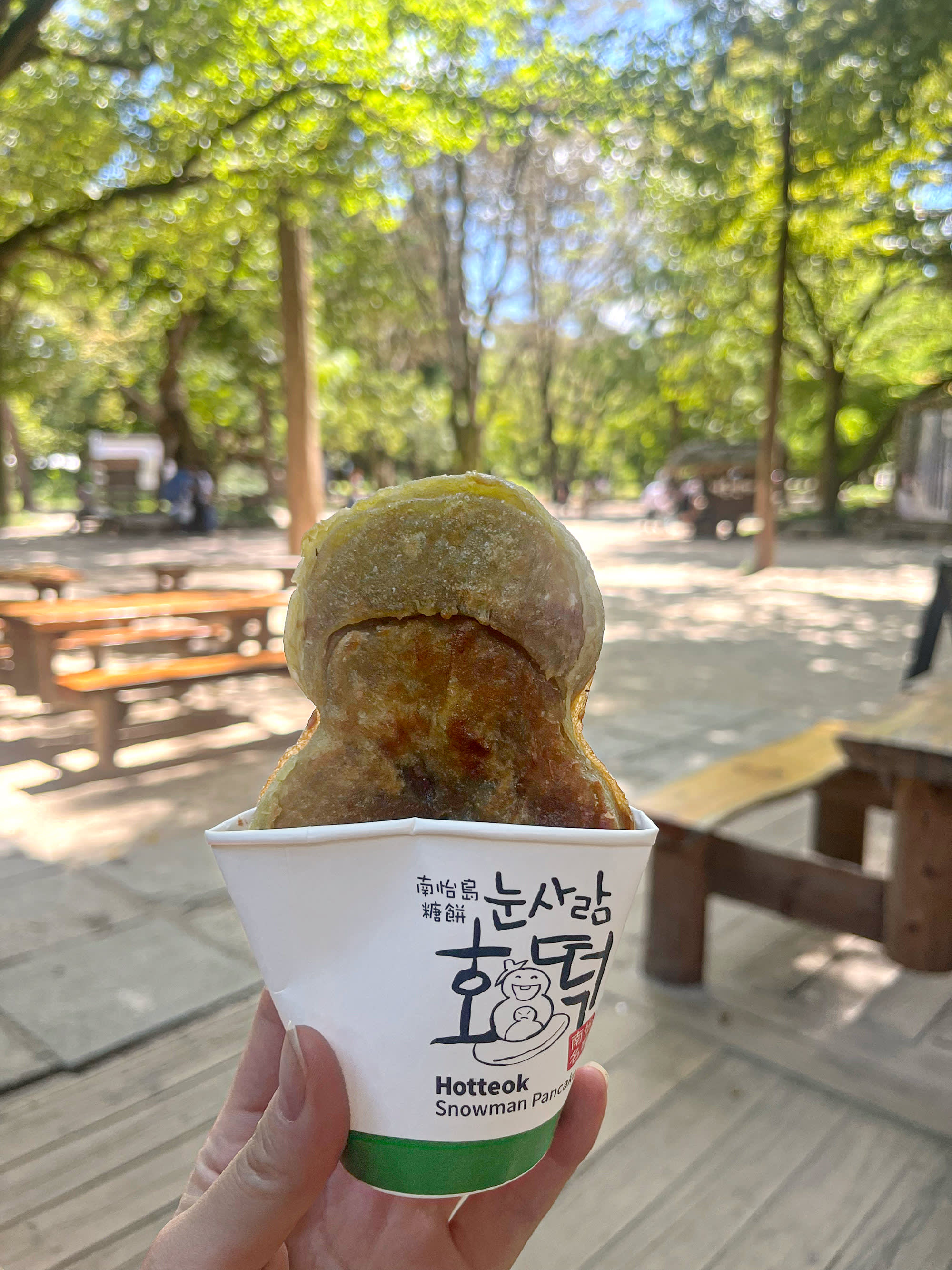 Nami Island One Day Tour (Shuttle & Ferry Included)