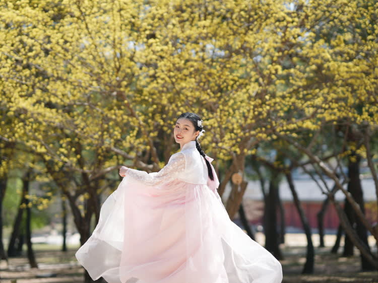 [ソウル]景福宮 韓服レンタル体験 [クンカヌンヨウ]