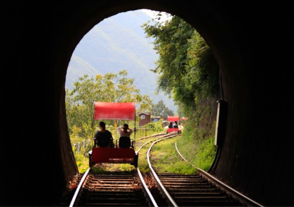 [首尔出发] 南怡岛樱花之旅（羊驼世界、江村铁路公园）