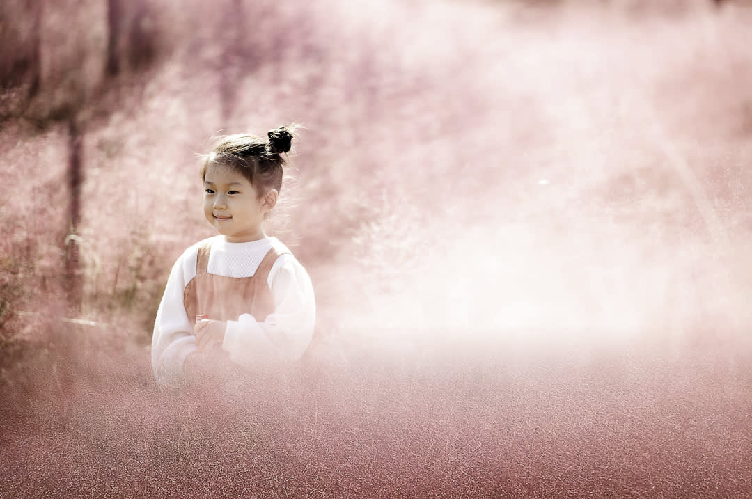 [首尔出发]Nari公园（粉红穆利草）＆ 南怡岛 ＆ 江村铁路自行车一日游