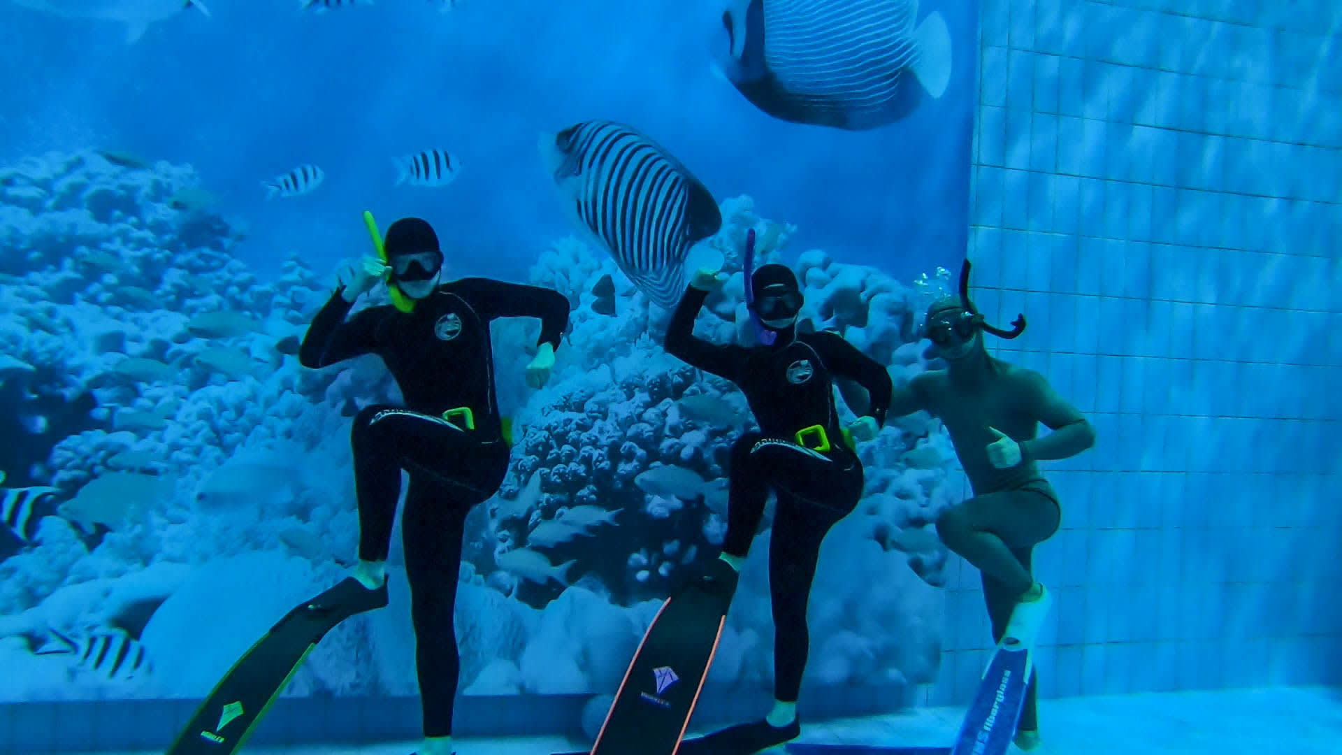 [大田] My Way 一日自由潜水体验