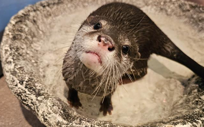 [首尔]蚕室乐天世界水族馆优惠入场券