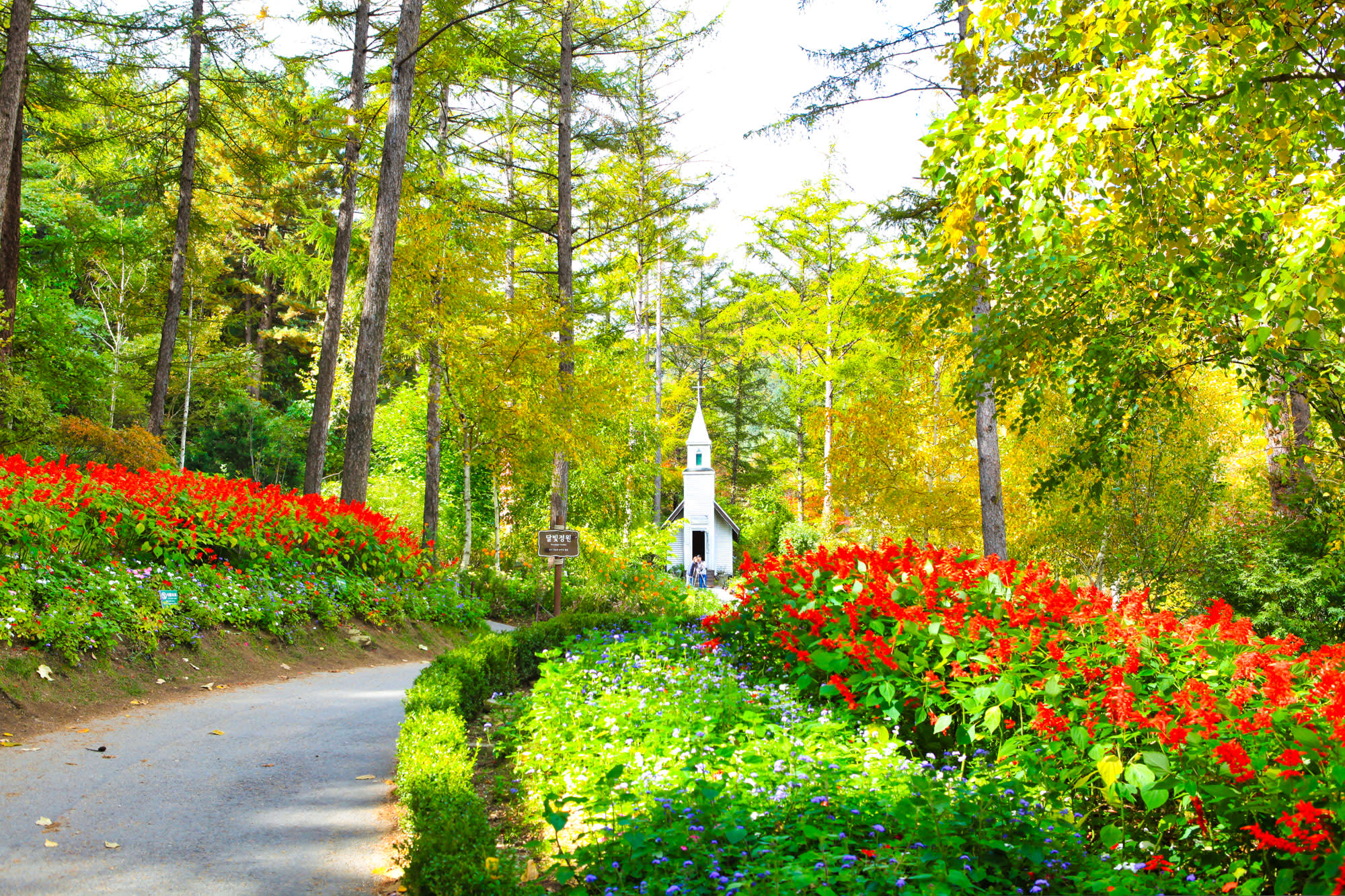 南怡岛＆晨静树木园＆江村铁路自行车郊一日游