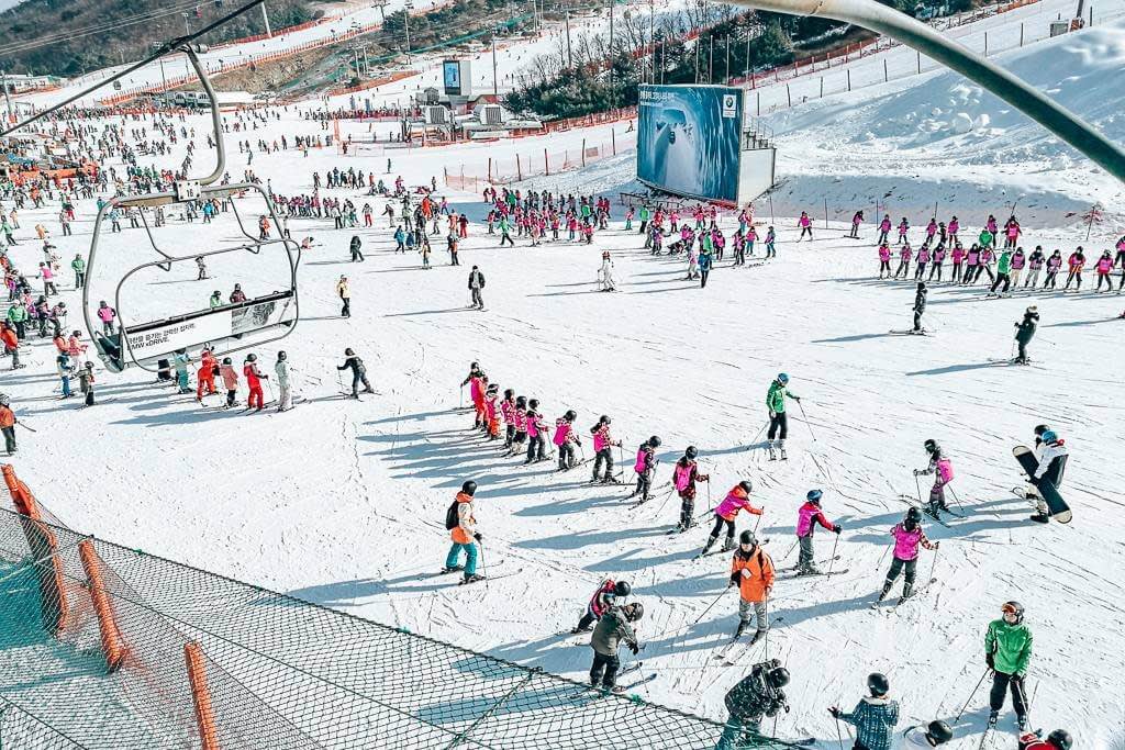 [From Seoul] Vivaldi Ski One Day Tour 