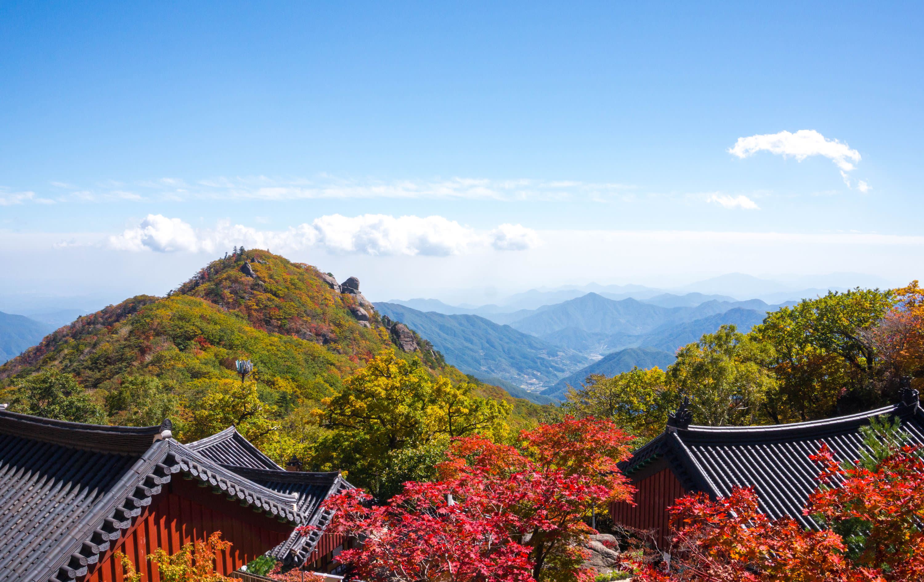 【釜山発】智異山紅葉観賞｜Baemsagol渓谷・泉隠寺日帰りツアー