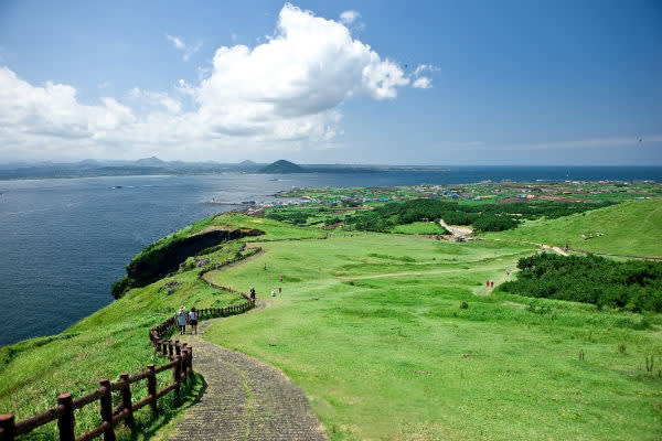 済州世界自然遺産＋牛島観光ツアー