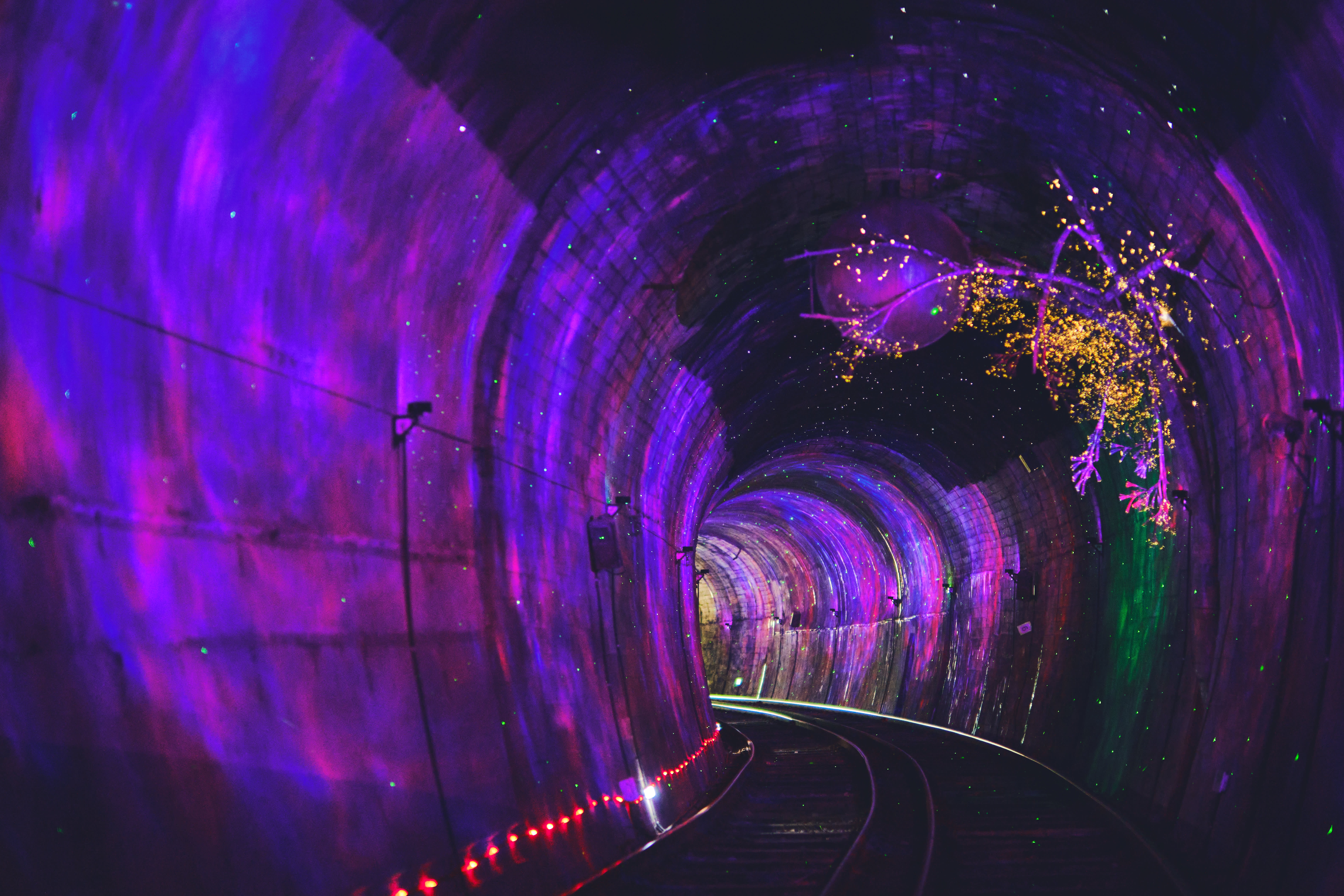 羊驼乐园 + 南怡岛 + 江村铁道自行车一日游