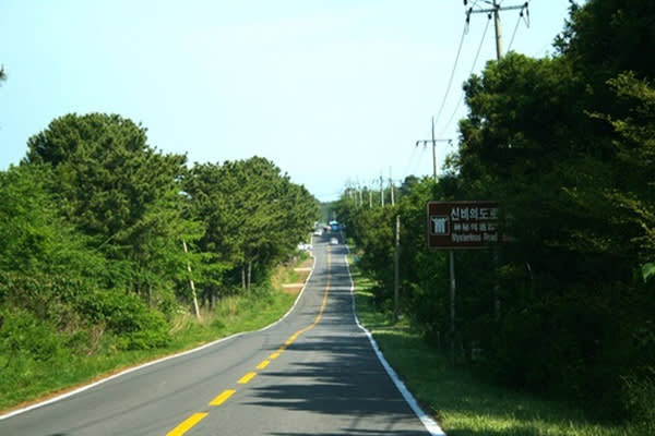 [济州市出发] 济州岛自然风光全日游(含SKYWATER SHOW)