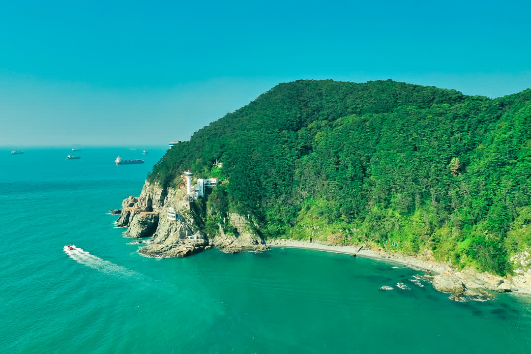 [Busan] Blue Line Park Beach Train + Taejongdae + Gamcheon +Huinnyeoul Village Private Tour