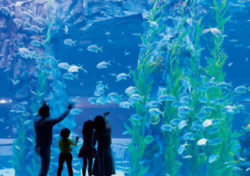[首尔]蚕室乐天世界水族馆优惠入场券