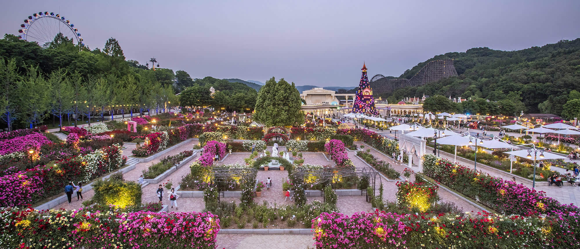 [ソウル] EVERLAND 1日パス＆チケットパッケージ