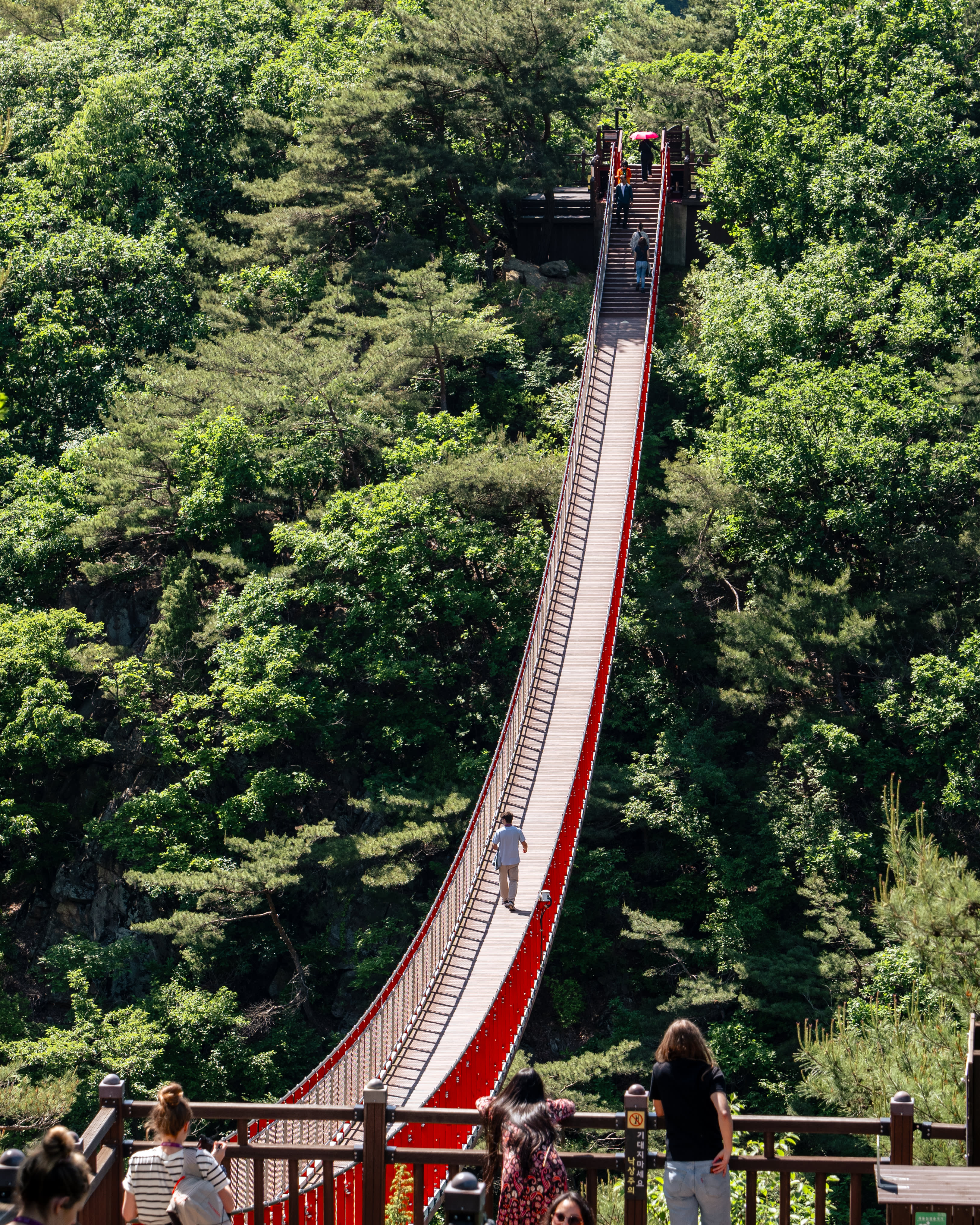 DMZ Tour & Mt. Gamak Red Suspension Bridge from Seoul