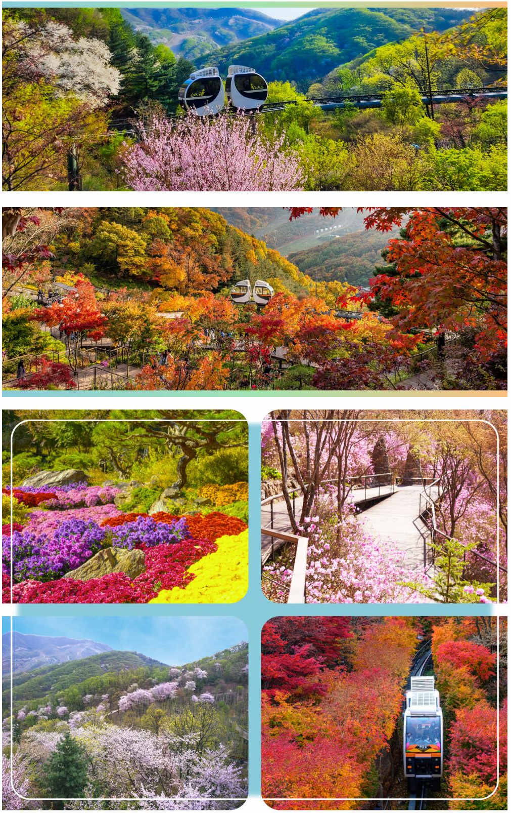 [ソウル発] 期間限定 秋の紅葉 華談の森 日帰りツアー