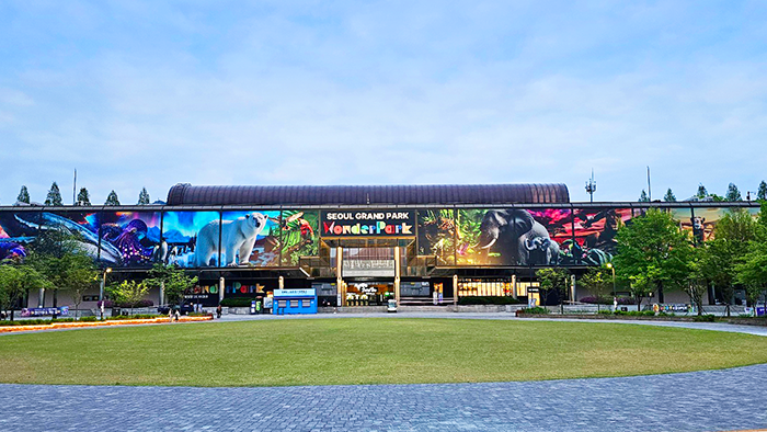 [果川] Wonder Park神奇乐园优惠券