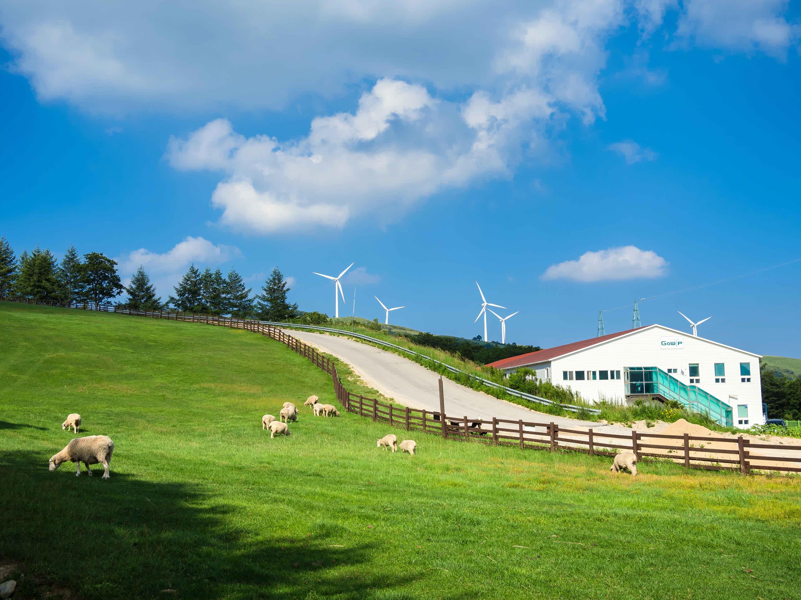 [Seasonal Special] BTS Journey to Iconic Moments Day Tour