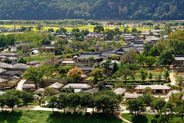 [釜山発]世界遺産・安東「河回村」日帰りツアー
