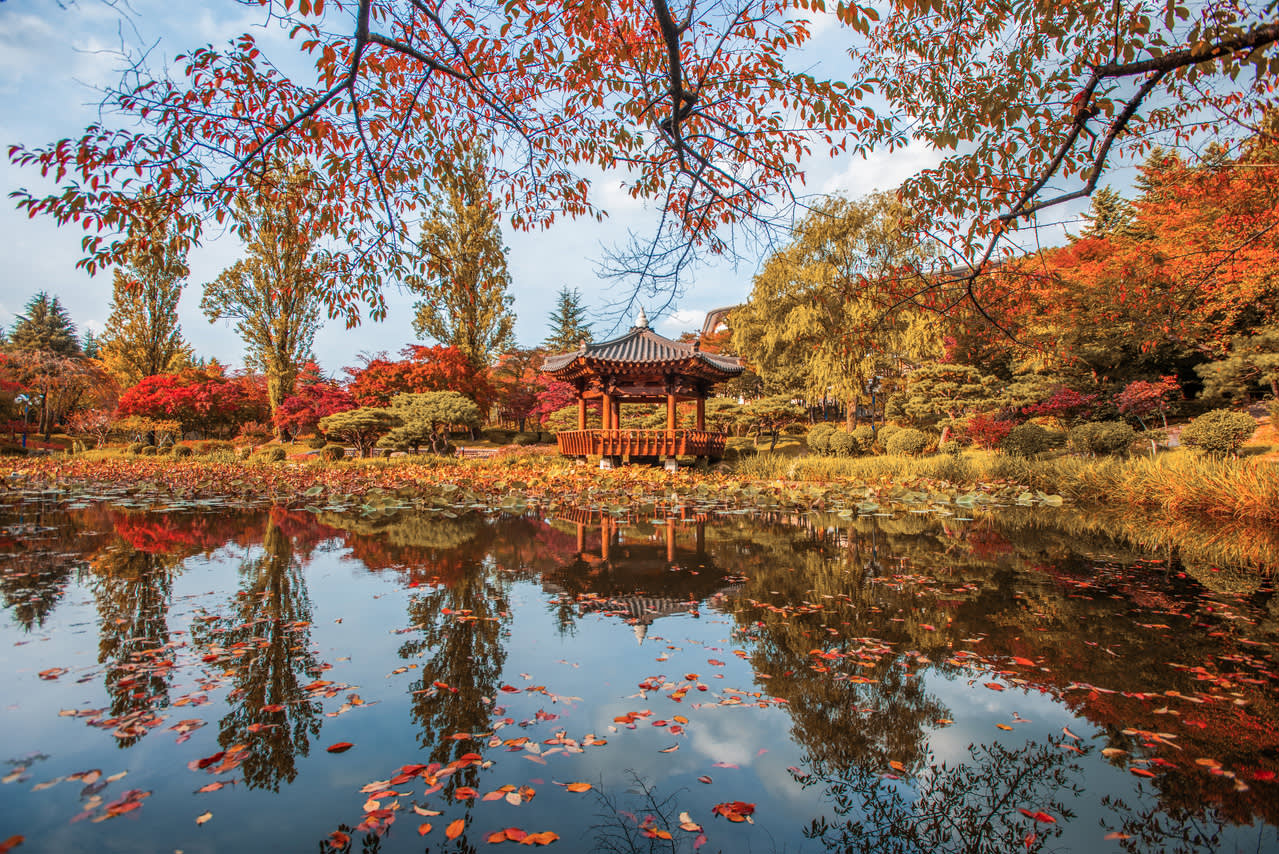 [From Busan] Gyeongju Autumn Foliage Day Tour