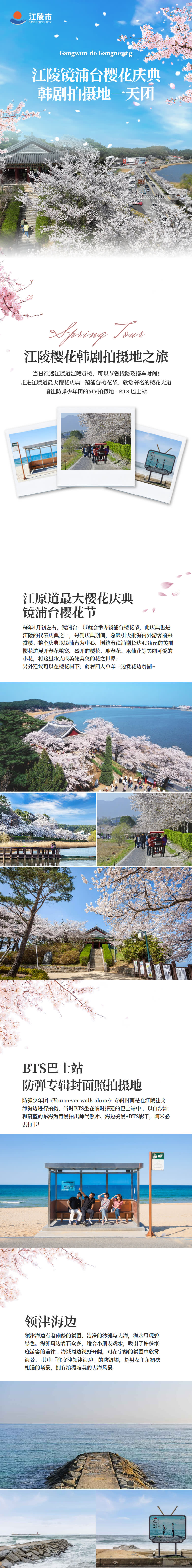 [首尔出发] 江陵镜浦台樱花庆典韩剧拍摄地一天团