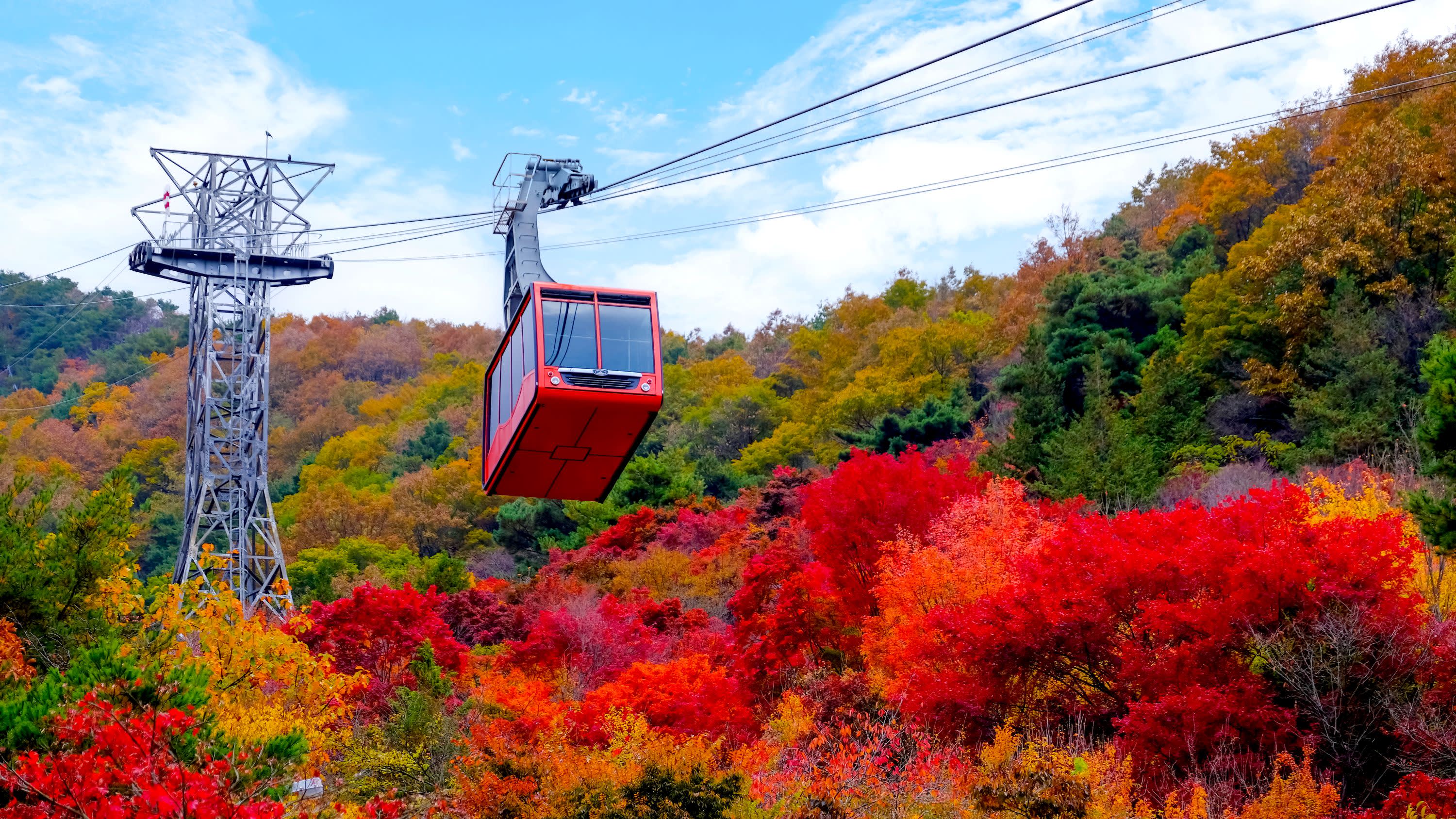 [From Seoul] Daedunsan Scenic Views & Baekje Buyeo Heritage Day Tour