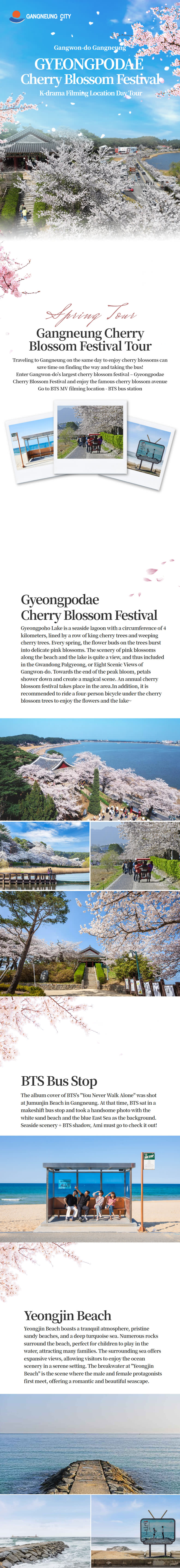 【ソウル発】鏡浦台 桜祭り＆Kドラマ撮影地 日帰りツアー