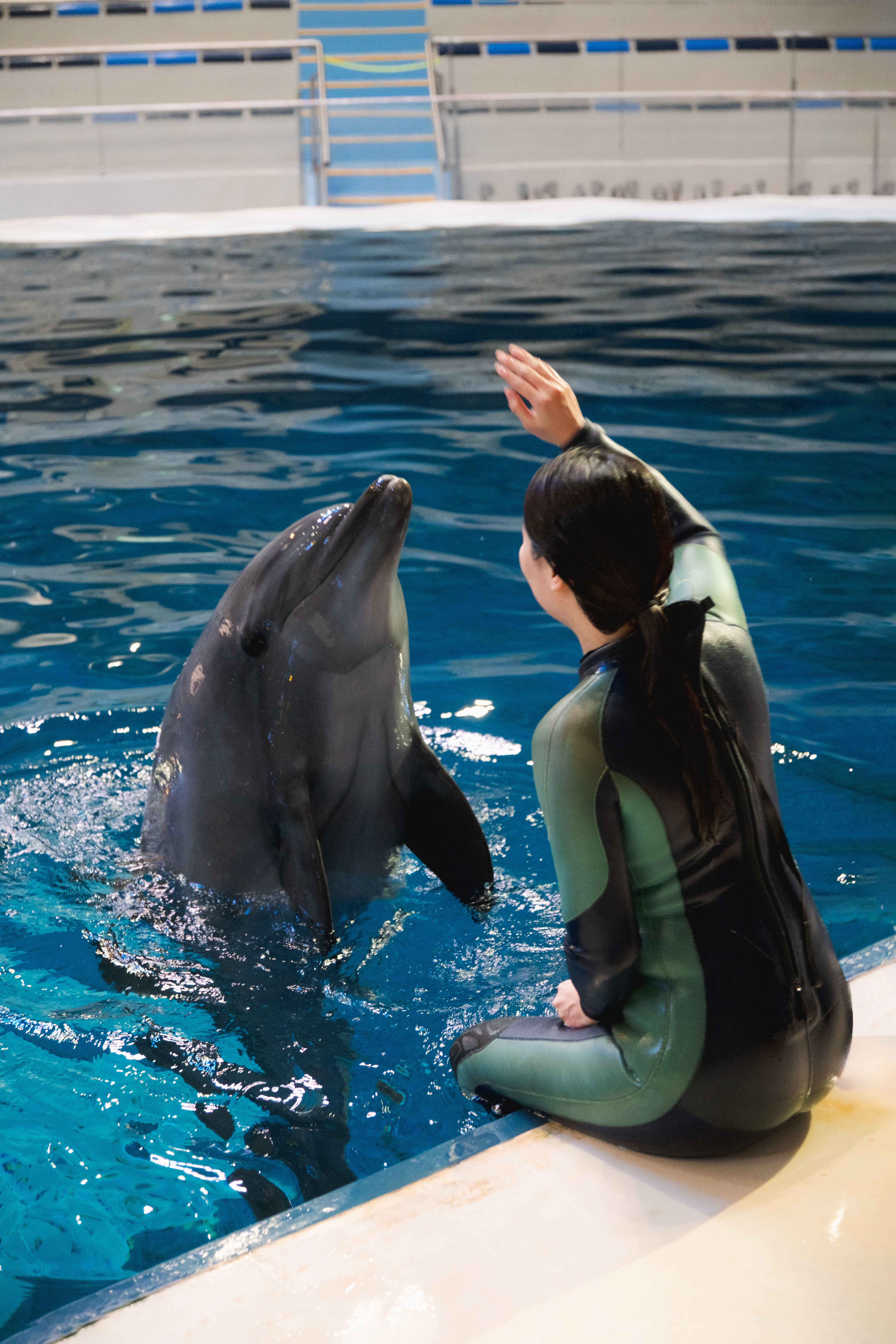 [济州岛]Aqua Planet水族馆门票(外国顾客专用）