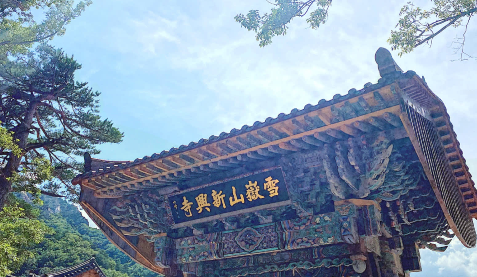 Autumn - Seoraksan National Park Maple leaves | Cable Car Day Tour