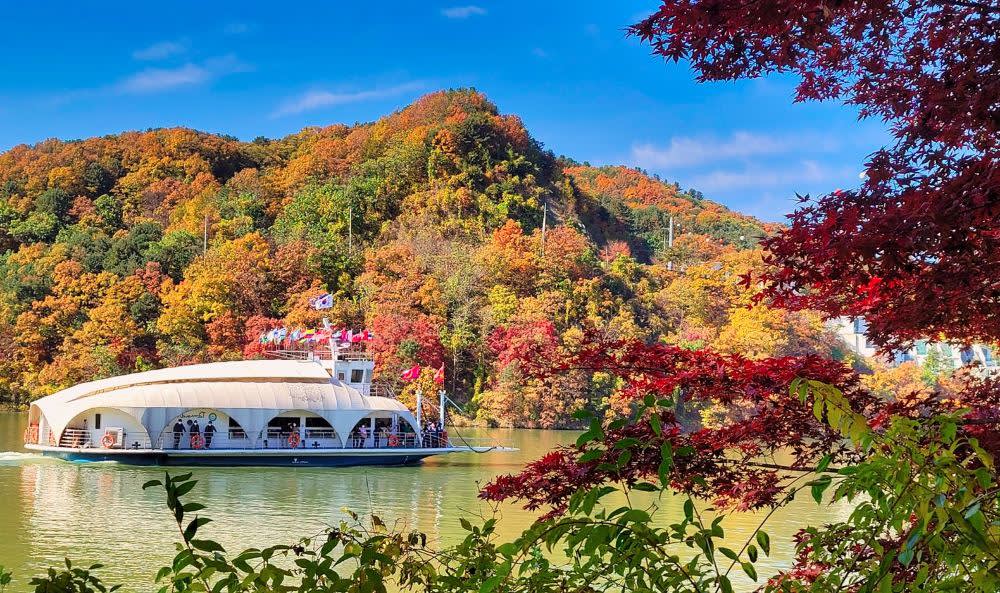 [首尔出发] 南怡岛樱花之旅（羊驼世界、江村铁路公园）