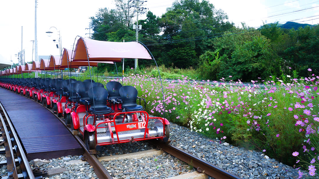 Nami Island + Hanbok Experience+ Gangchon Rail Bike