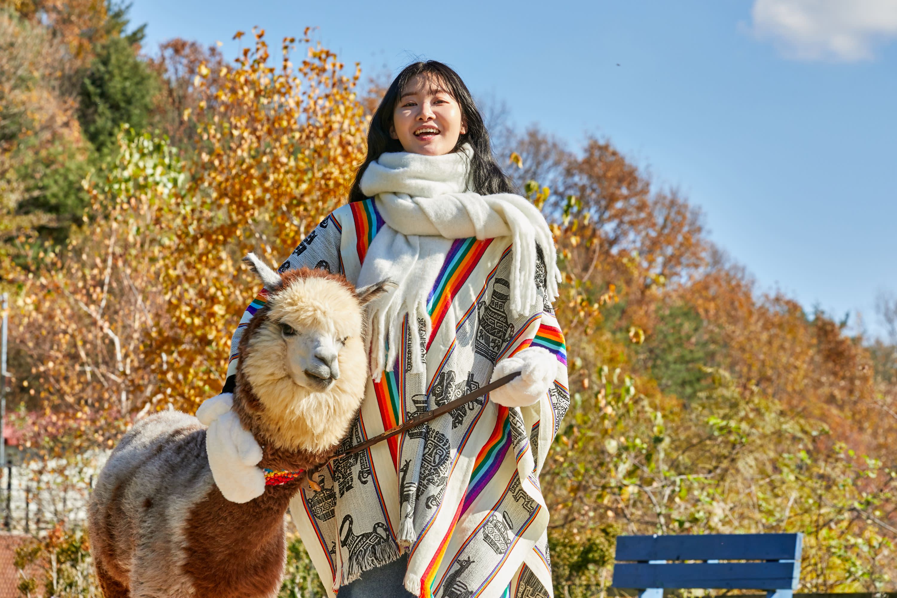 [Best Seller] Nami Island + Alpaca World + Gangchon Railbike Day Tour from Seoul