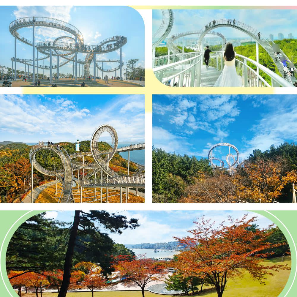 [浦项] Space Walk × 湖畔公园樱花观赏之旅 | 釜山出发