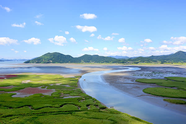 【釜山発】順天ハイライト日帰りツアー｜順天湾国家庭園・順天湾湿地・ワオン海辺サンセット・仙巌寺