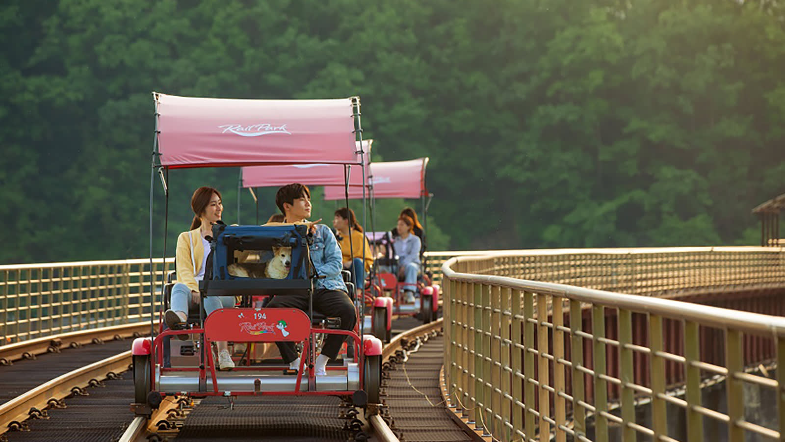 江村レールバイク 乗車チケット （京江駅）