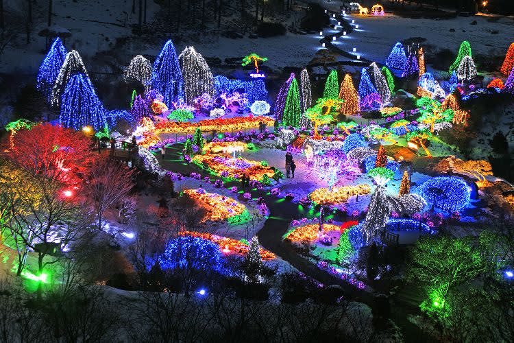 [南怡岛] 羊驼世界 + 南怡岛 + 轨道自行车 + 寂静树木园