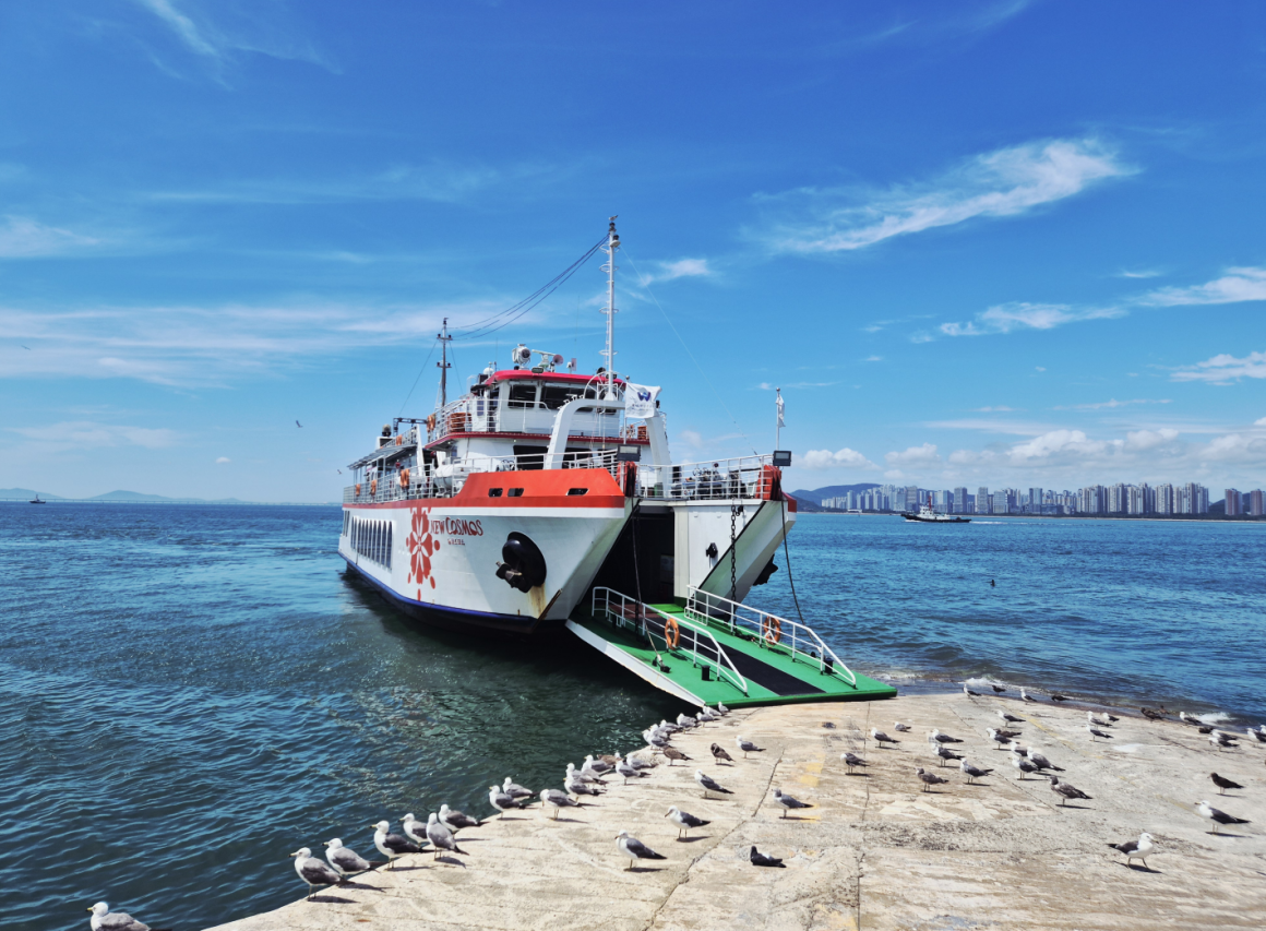 [Incheon] Wolmido Sightseeing Cruise – Live Shows & Seagull Feeding Experience
