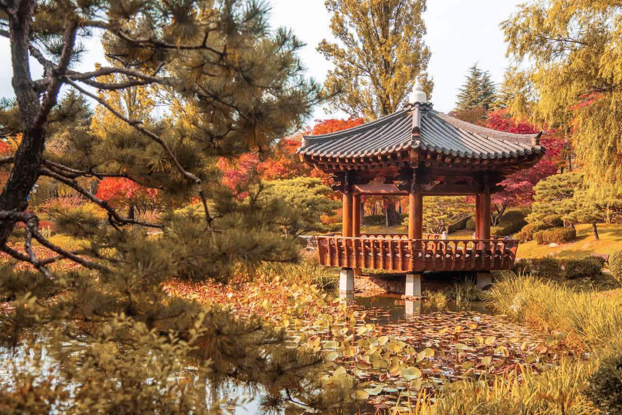 [From Busan] Gyeongju Autumn Foliage Day Tour