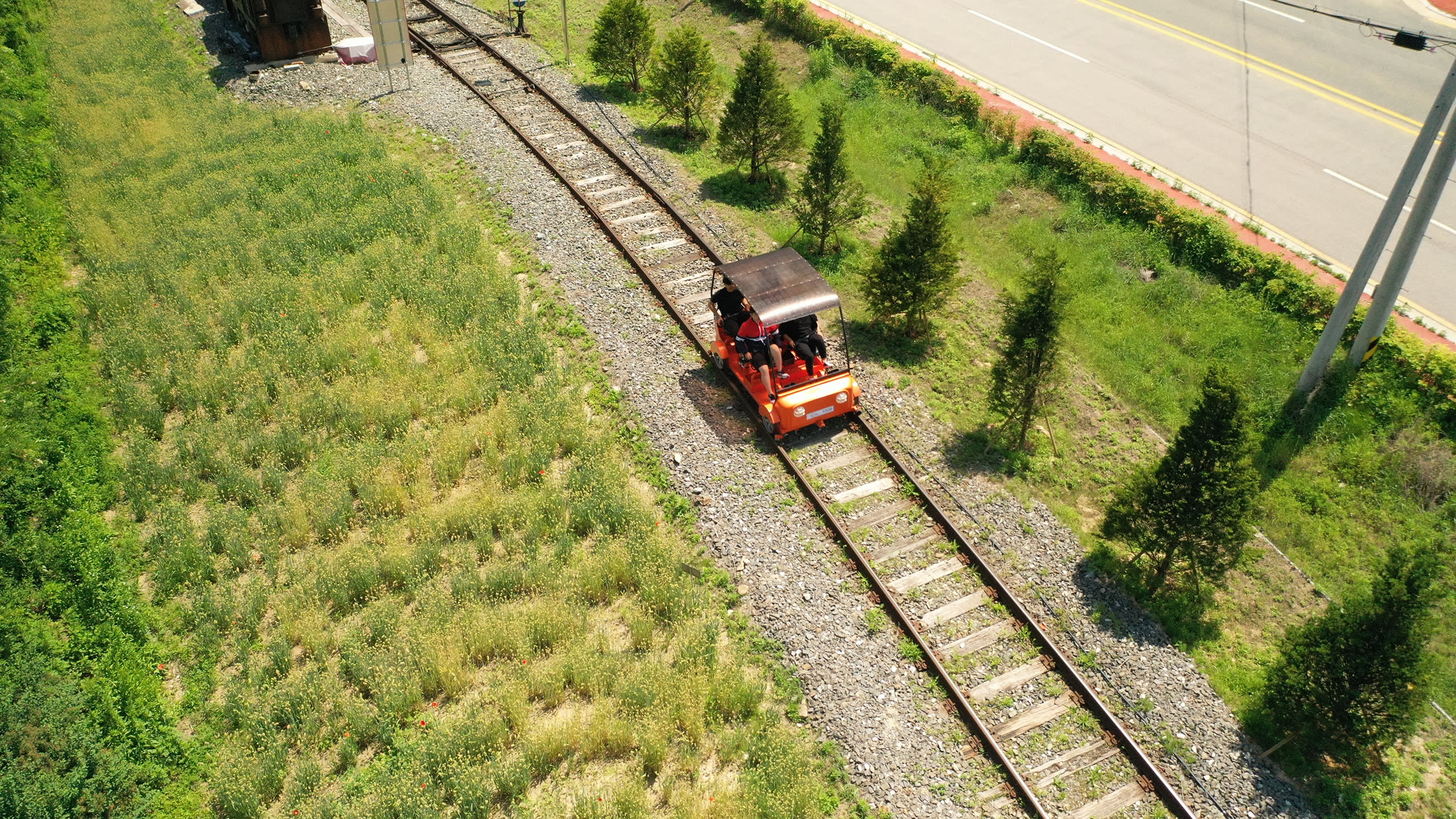 Day Trip: Nami + Rail Bike + Garden of Morning Calm