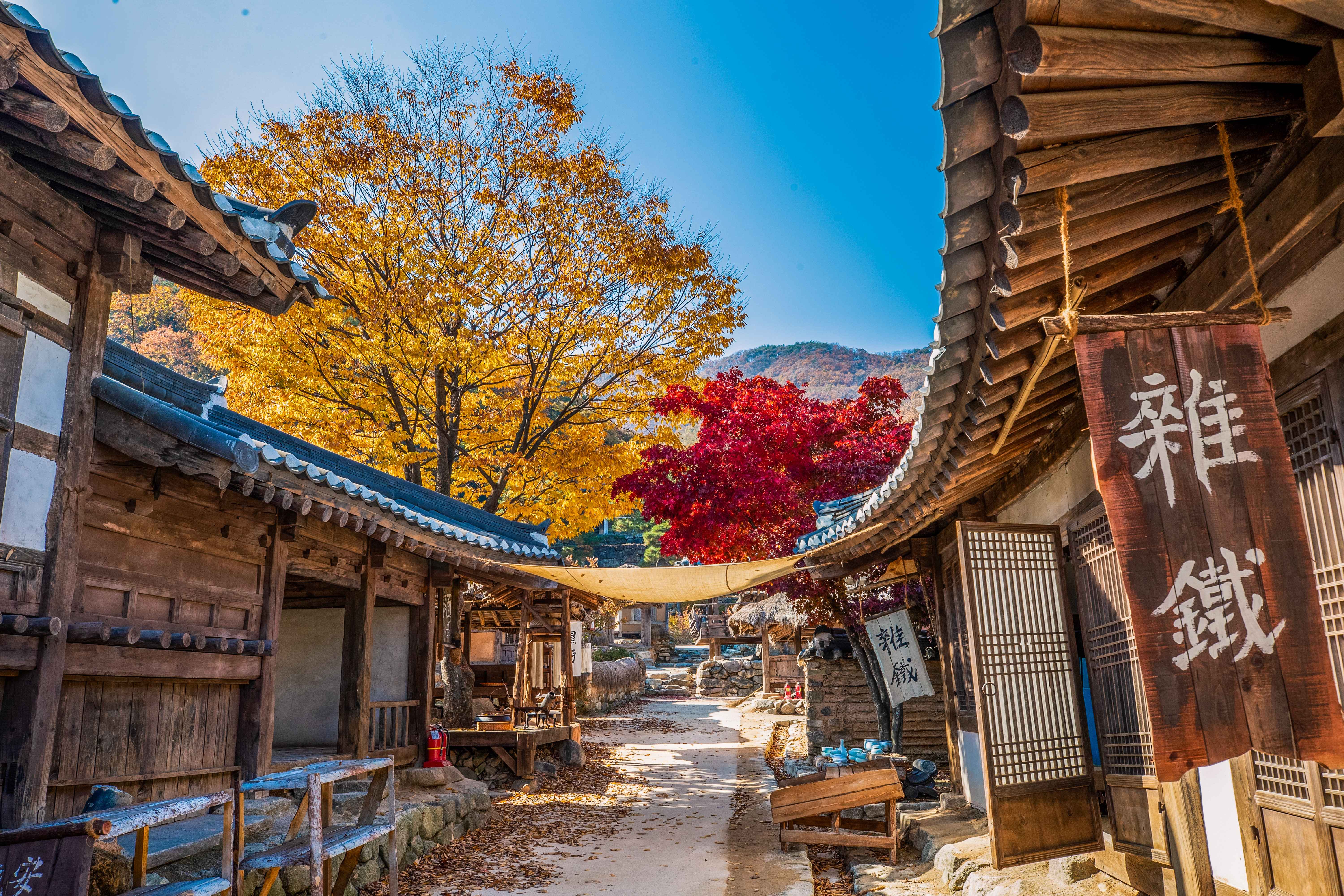 A Must-Do BTS Tour for ARMY & Fans