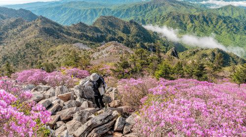 【ソウル発】雪岳山＆納仙寺 1日ツアー