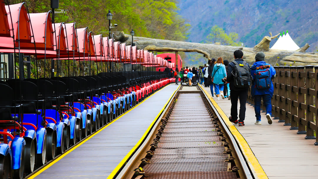 南怡岛 + 江村铁道自行车 + 羊驼世界私人游