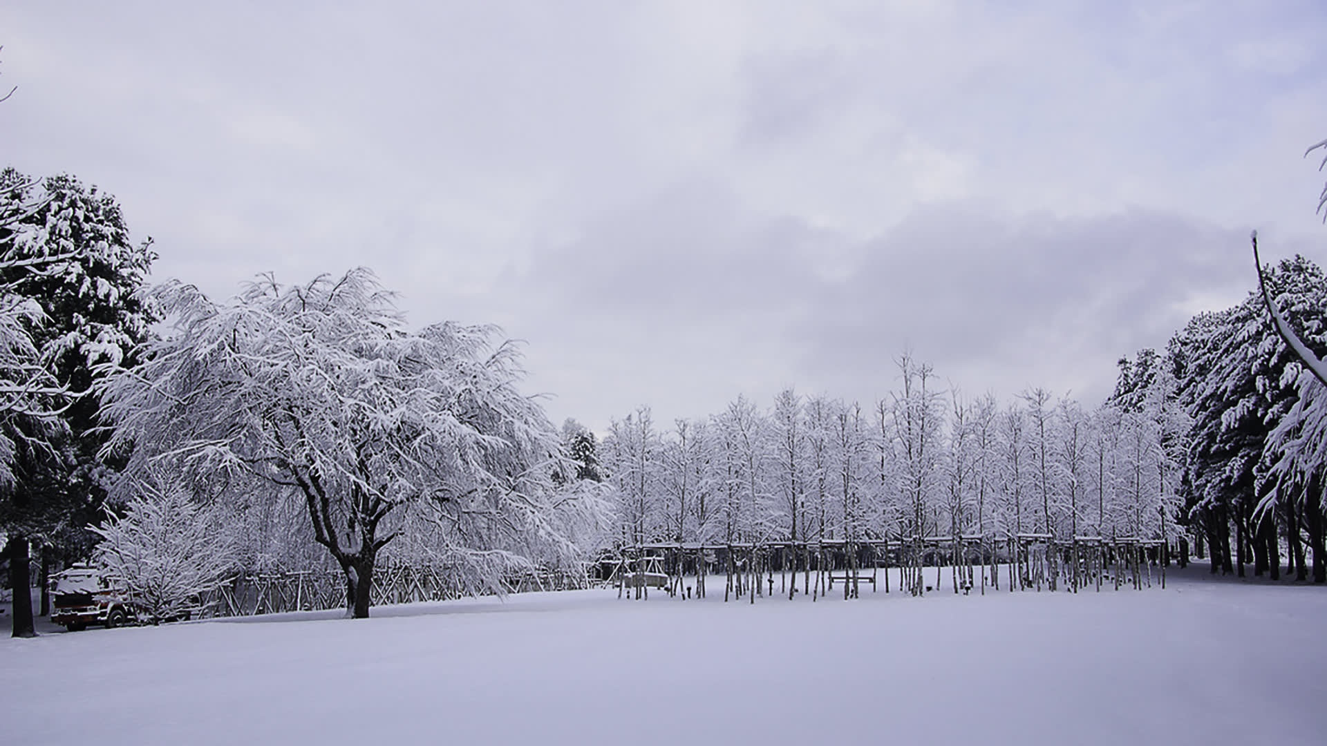 [从首尔出发] 南怡岛+洪川大明SONO VIVALDI PARK滑雪场（双板滑雪）一日游