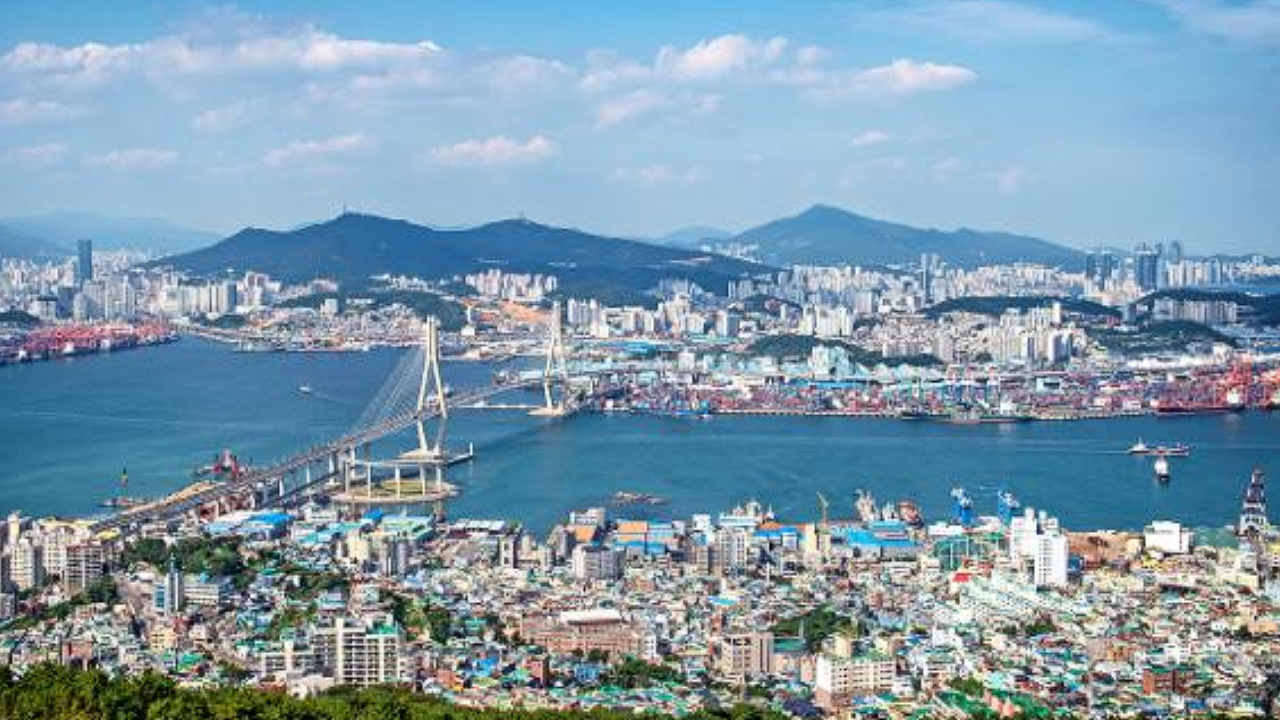 韩国电影主题美食体验 