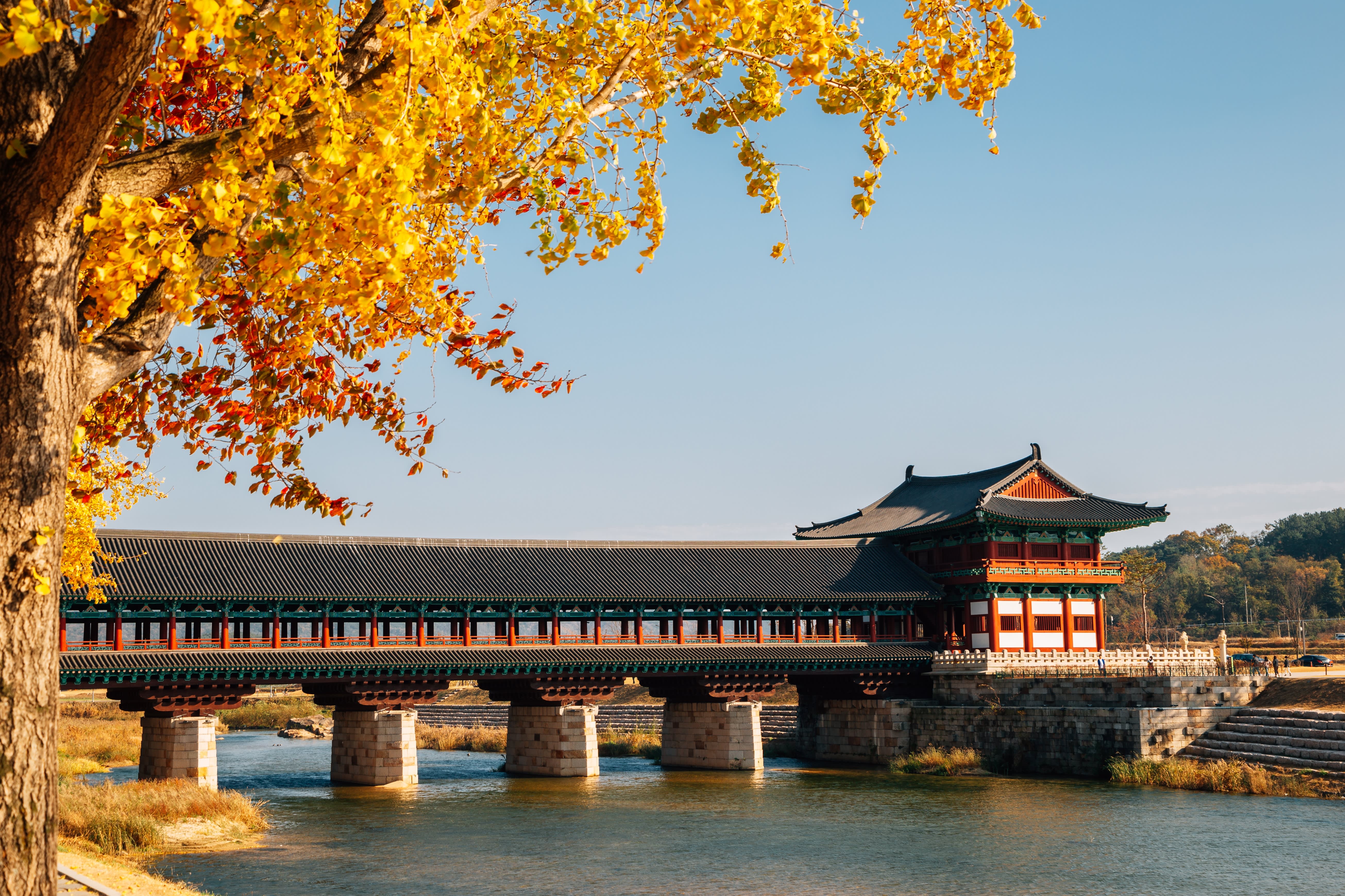 [From Busan] Gyeongju Autumn Foliage Day Tour