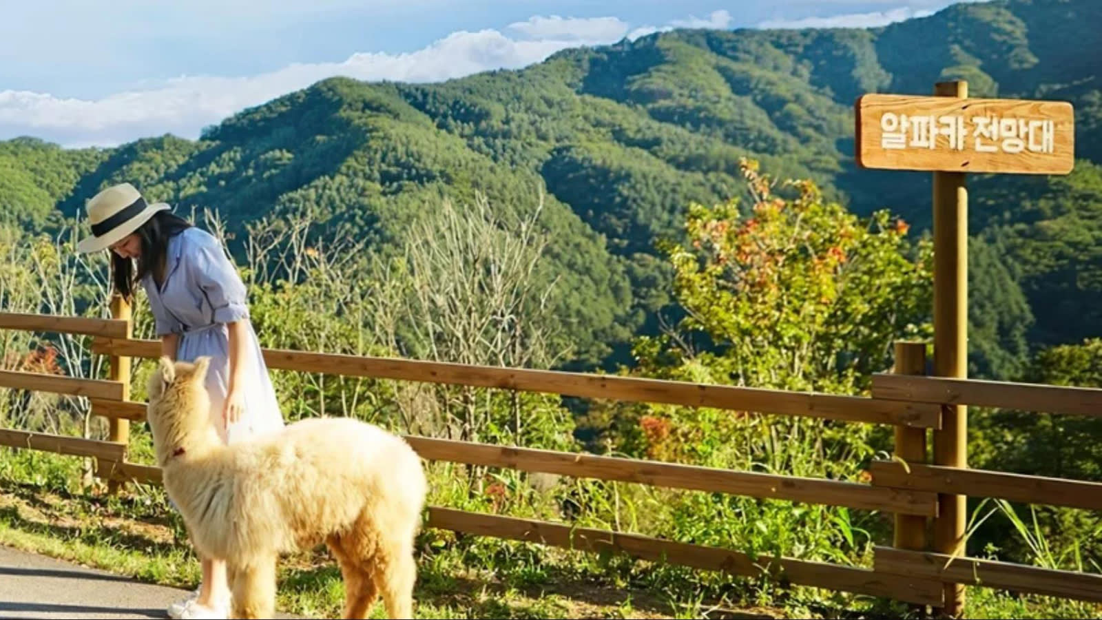 ソウルシティ·郊外カーチャートツアー