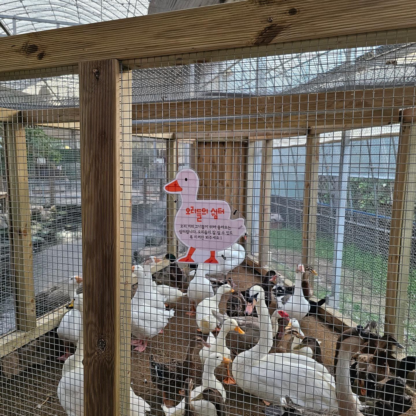Gyeongju Bird Park Ticket