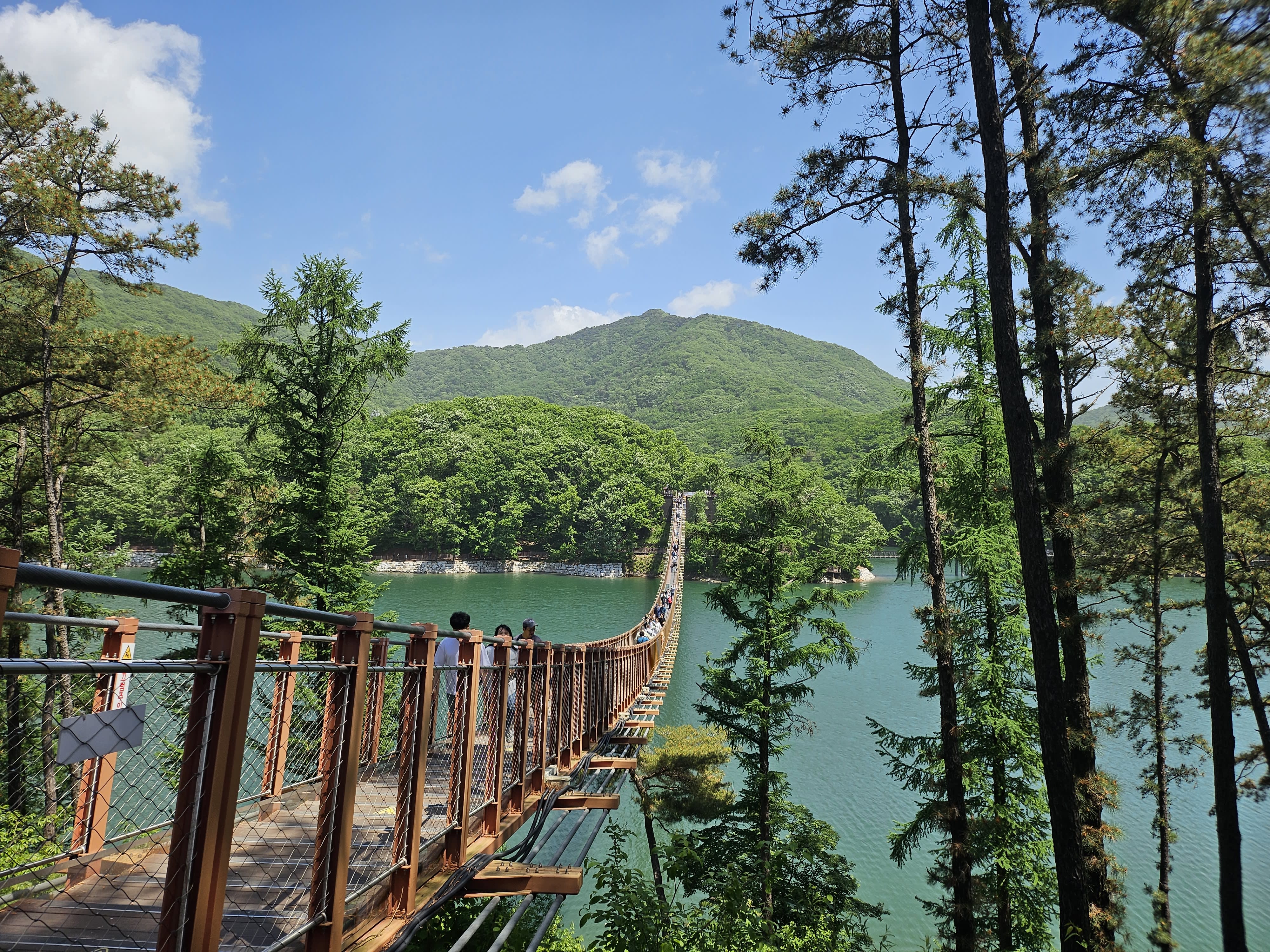 [首尔出发] DMZ Tour (选项: 吊桥) 