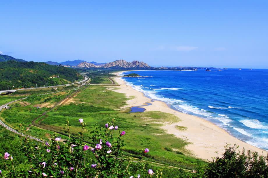 [From Seoul] Goseong Unification Observatory & Hwajinpo One-Day Tour