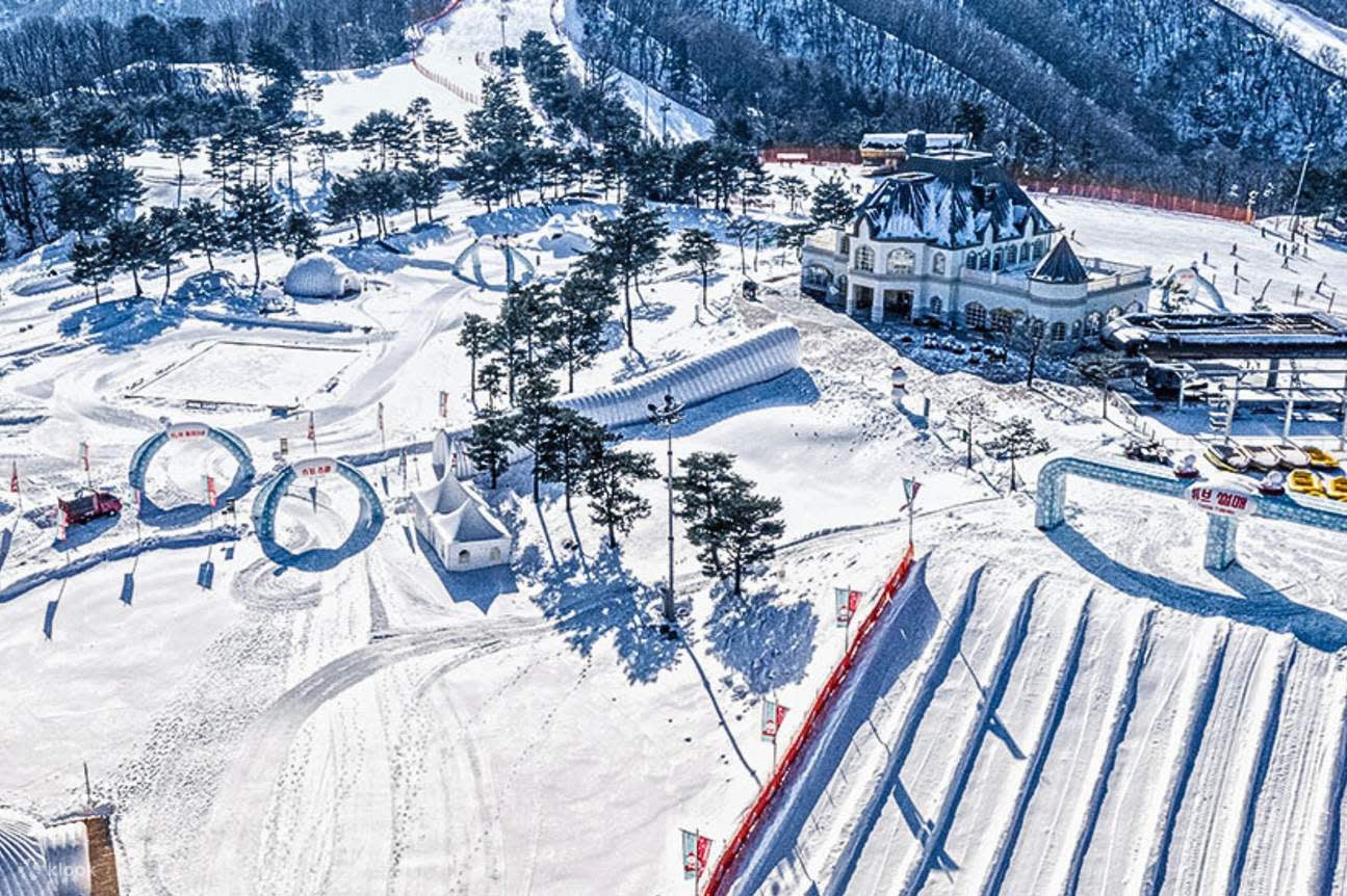 [From Seoul] Vivaldi Ski One Day Tour 